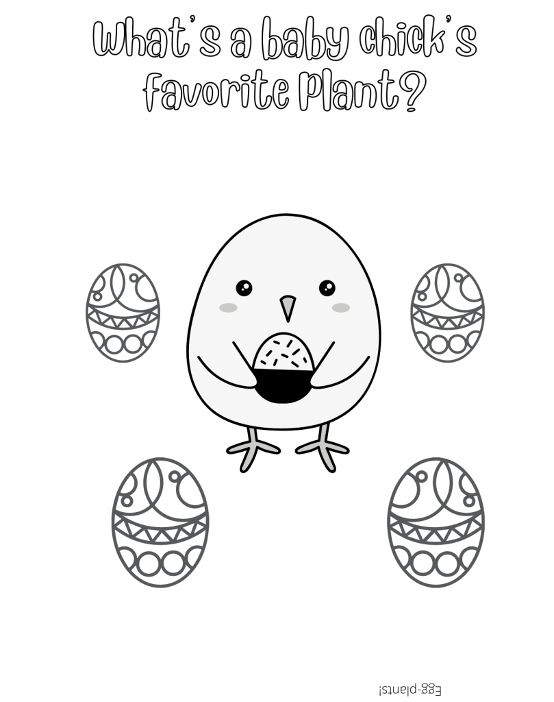 A coloring page with a baby chick holding an egg with four eggs around him.